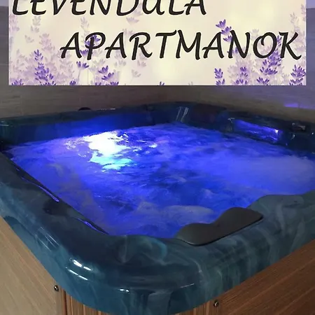 Holiday home Alfoeldi Levendula Vendeghaz *